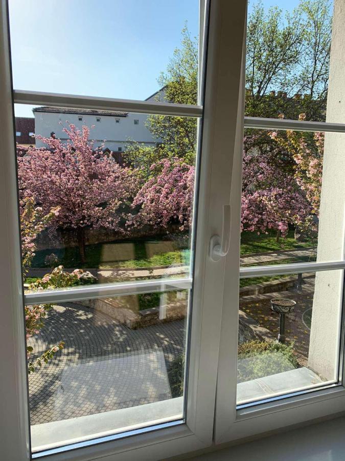 Negy Evszak Apartman- تابولتْسا المظهر الخارجي الصورة